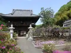 長泉寺の山門