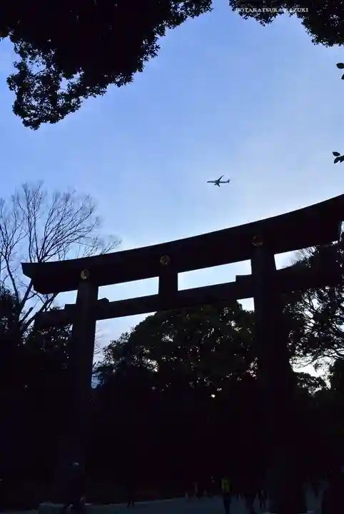 明治神宮(東京都)