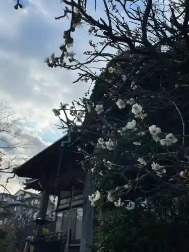 長福寺の{uncategorized: "未分類", other: "その他", undefined: "問題あり", building: "その他建物", grave: "お墓", sacred_gate: "鳥居", guardian: "狛犬", statue: "像", buddha: "仏像", history: "歴史", nature: "自然", garden: "庭園", animal: "動物", pagoda: "塔", temizu: "手水舎", mountain_gate: "山門・神門", sanctuary: "本殿・本堂", subordinate: "末社・摂社", art: "芸術", scenery: "景色", jizo: "地蔵", ema: "絵馬", goshuin: "御朱印", omikuji: "おみくじ", items: "授与品その他", amulet: "お守り", goshuincho: "御朱印帳", eats: "食事", festival: "お祭り", votive_dance: "神楽", shichigosan: "七五三参", wedding: "結婚式", experience: "体験その他", initially: "初詣", around: "周辺", anti_infection: "感染症対策"}