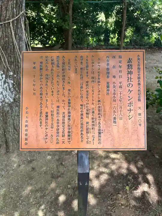 素鵞神社(茨城県)