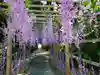 越谷香取神社(埼玉県)