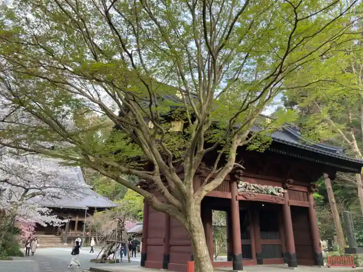 妙本寺(神奈川県)