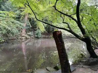石上神宮(奈良県)