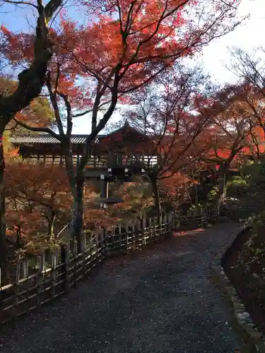 東福禅寺（東福寺）の自然