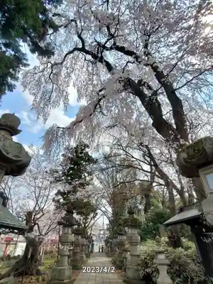 神炊館神社 ⁂奥州須賀川総鎮守⁂(福島県)