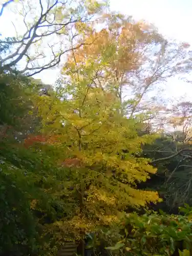 安國論寺（安国論寺）の自然