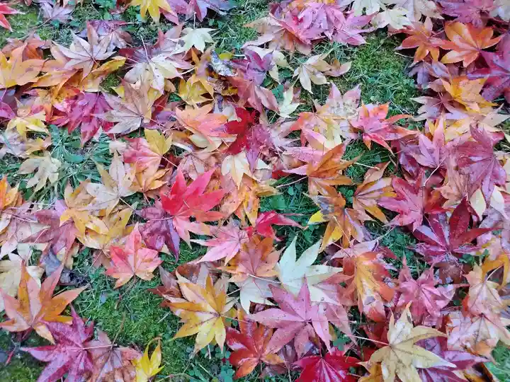北海道護國神社の自然
