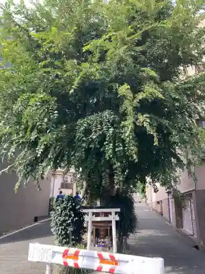 白光大神 (大阪府)