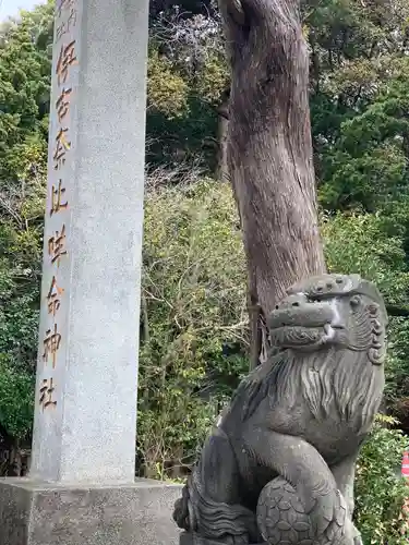 伊古奈比咩命神社の狛犬