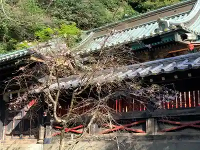静岡浅間神社のその他建物