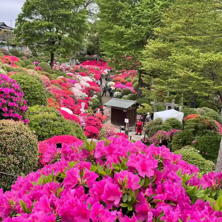 根津神社の自然