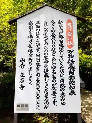 宝珠山 立石寺(山形県)