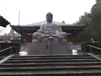 御誕生寺(猫寺)(福井県)