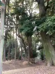 熊野社（南熊野神社）の建物その他