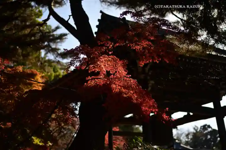 東漸寺(千葉県)