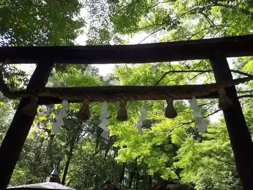 野宮神社の鳥居