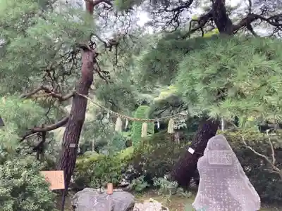 宝登山神社(埼玉県)