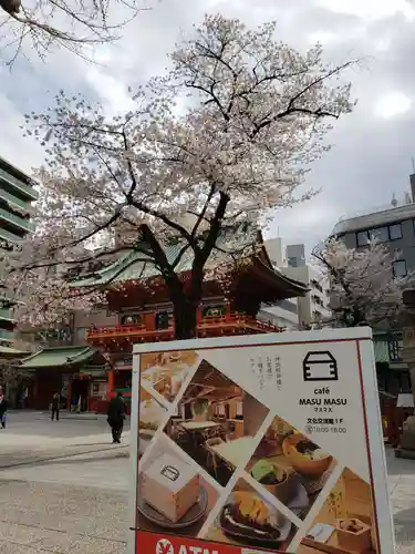 神田神社（神田明神）の自然