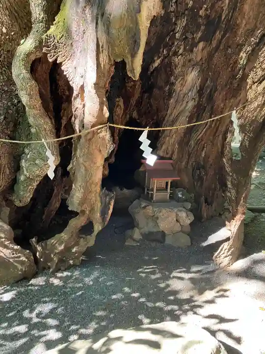 來宮神社(静岡県)
