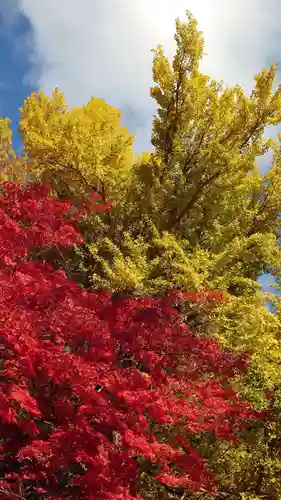 徳山神社の自然