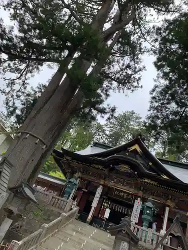 三峯神社の本殿