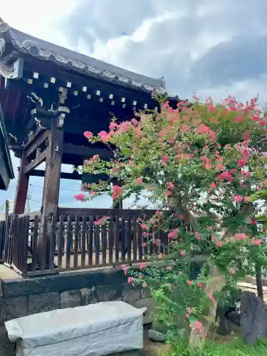 長明寺(東京都)