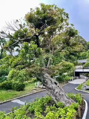 宇賀神社(神奈川県)