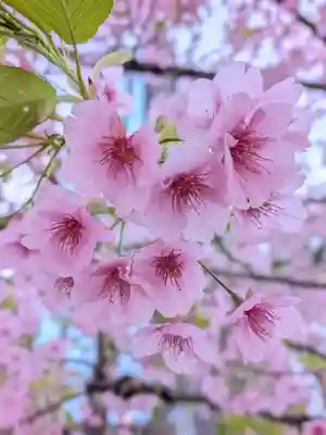 淀橋咳止地蔵尊(東京都)