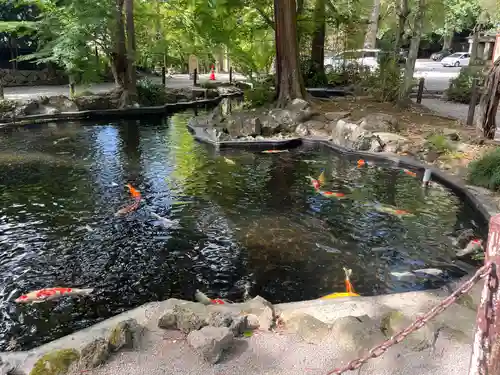 伊豆山神社(静岡県)
