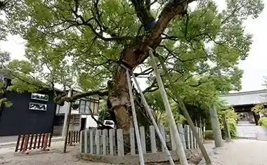 櫛田宮のその他建物