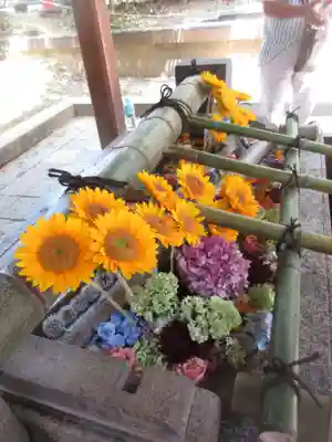 八坂神社(祇園さん)(京都府)
