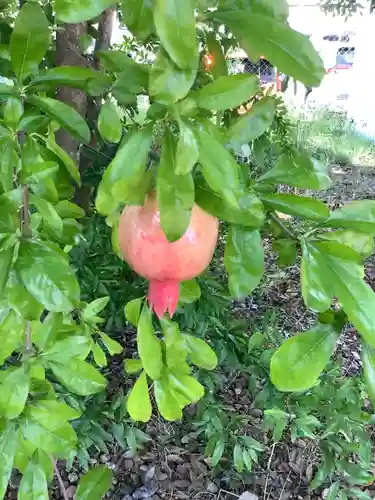 八幡社（松新町）の自然