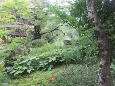 青龍山 吉祥寺(群馬県)