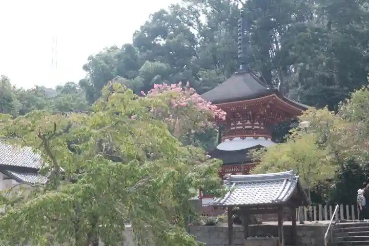 金剛寺(大阪府)