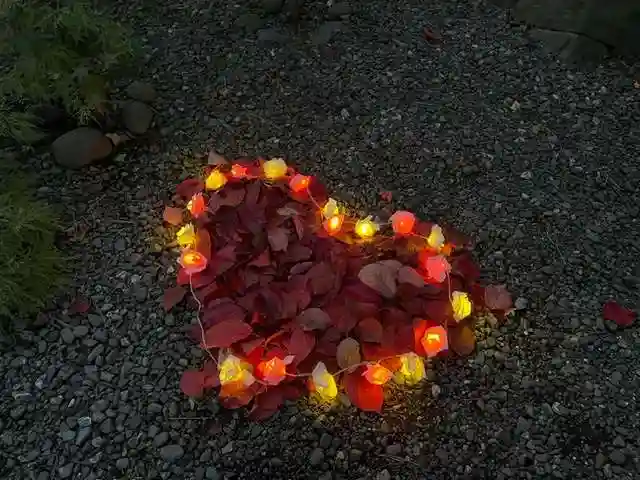 彌彦神社 (伊夜日子神社)の庭園