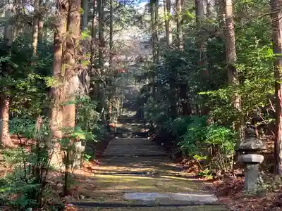 柞原八幡宮(大分県)