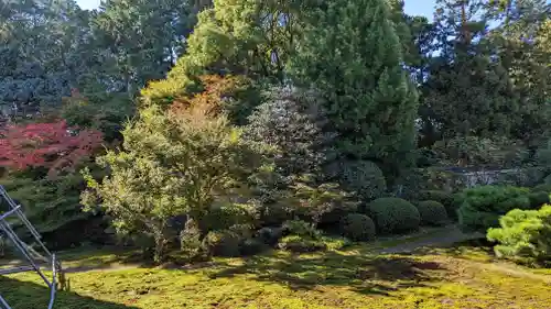 隨心院（随心院）(京都府)