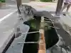 不乗森神社(愛知県)