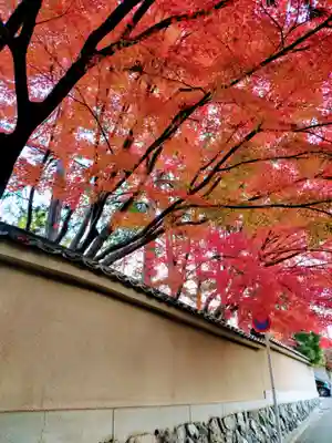 東福禅寺(東福寺)(京都府)
