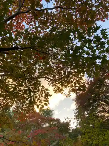 宝厳院(京都府)