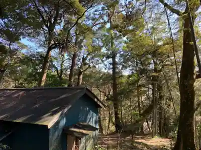 八坂神社の自然