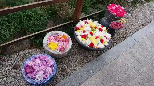 埼玉厄除け開運大師・龍泉寺（切り絵御朱印発祥の寺）(埼玉県)