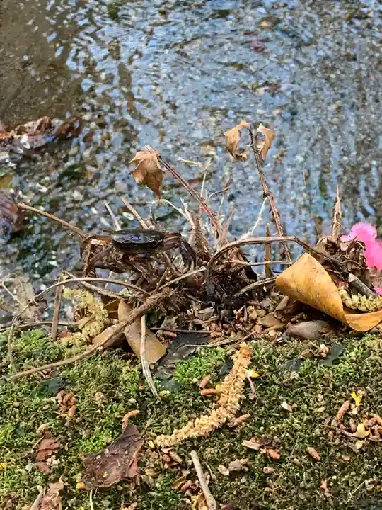 木曽三社神社のその他建物