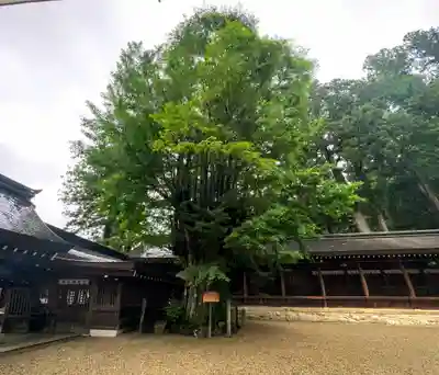 飛驒一宮水無神社(岐阜県)