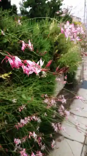 白山社（井堀）の周辺