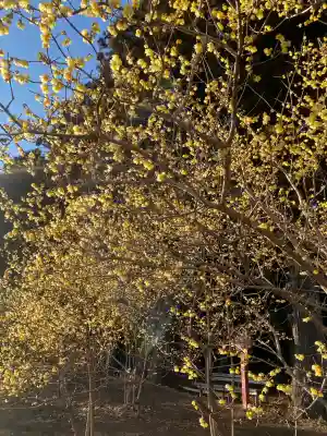 羽黒山神社の{uncategorized: "未分類", other: "その他", undefined: "問題あり", building: "その他建物", grave: "お墓", sacred_gate: "鳥居", guardian: "狛犬", statue: "像", buddha: "仏像", history: "歴史", nature: "自然", garden: "庭園", animal: "動物", pagoda: "塔", temizu: "手水舎", mountain_gate: "山門・神門", sanctuary: "本殿・本堂", subordinate: "末社・摂社", art: "芸術", scenery: "景色", jizo: "地蔵", ema: "絵馬", goshuin: "御朱印", omikuji: "おみくじ", items: "授与品その他", amulet: "お守り", goshuincho: "御朱印帳", eats: "食事", festival: "お祭り", votive_dance: "神楽", shichigosan: "七五三参", wedding: "結婚式", experience: "体験その他", initially: "初詣", around: "周辺", anti_infection: "感染症対策"}