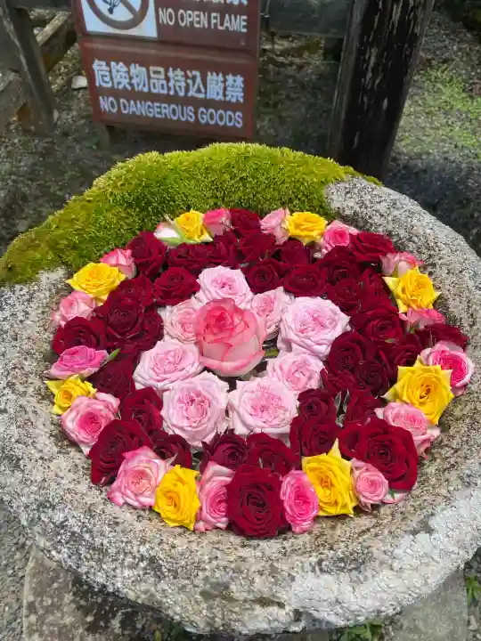 丹生都比売神社(和歌山県)