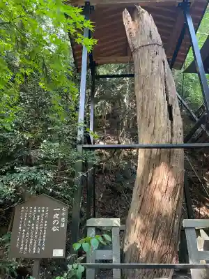 柳津虚空蔵尊 寳性院(宮城県)