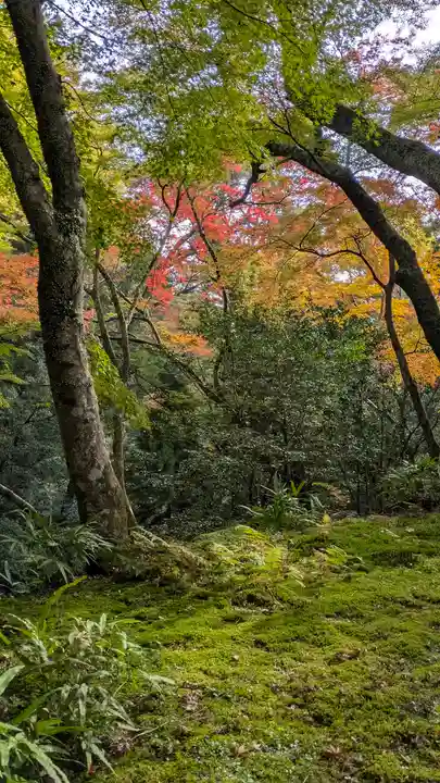神護寺(京都府)
