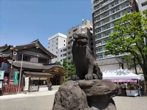 浅草神社の狛犬